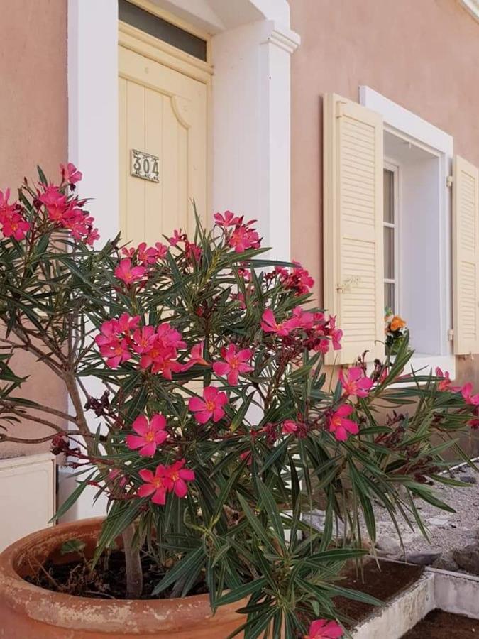 Provencal House In Fayence With Pool & Indoor Spa Buitenkant foto